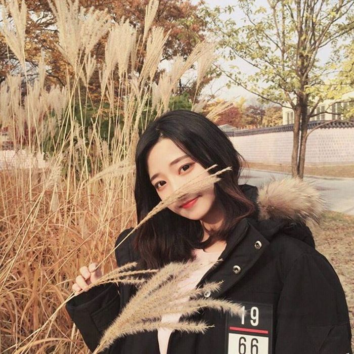 东京（明治维新后故事主要发生地） - 体育精华回放在线观看 - 平板直播